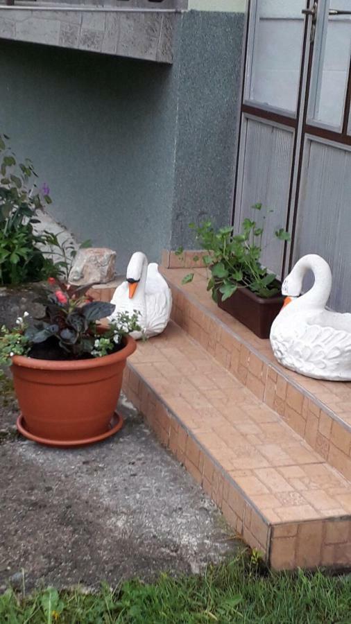 Ivana Casa vacanze